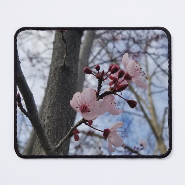 Item preview, Winter Bloom  designed and sold by AaronFritsch.
