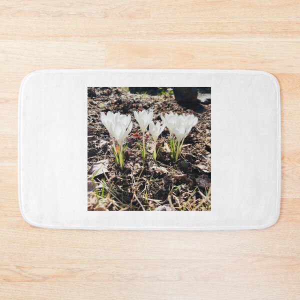 Item preview, White Crocuses designed and sold by Alicia-Itakura.