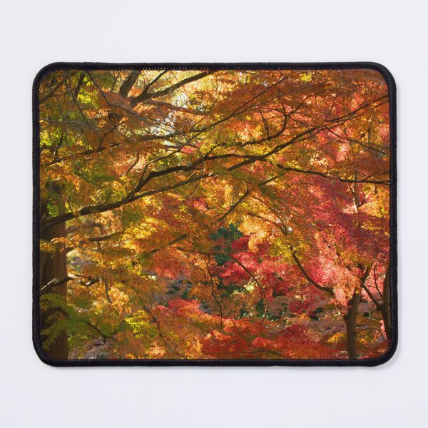 Item preview, Autumn Trees in Japan designed and sold by PhotosByXanth.