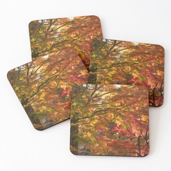 Item preview, Autumn Trees in Japan designed and sold by PhotosByXanth.