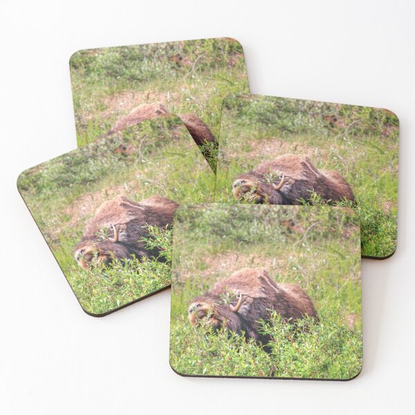 Item preview, Grazing muskox designed and sold by zumi.