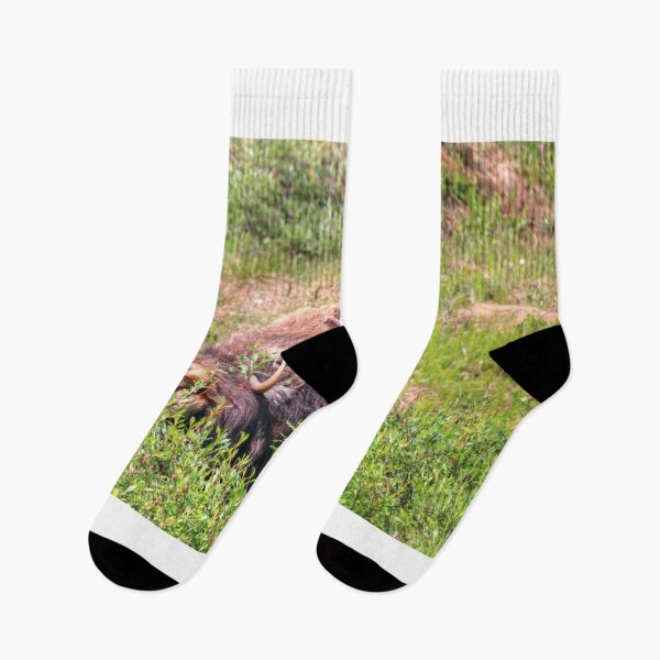 Item preview, Grazing muskox designed and sold by zumi.