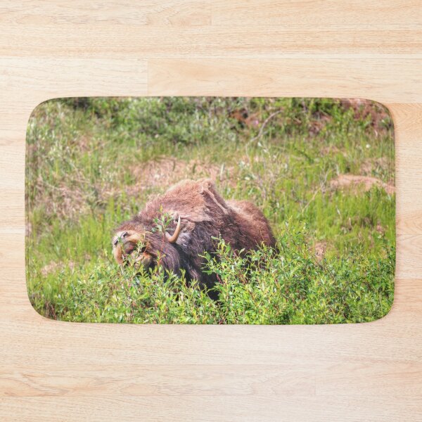 Item preview, Grazing muskox designed and sold by zumi.