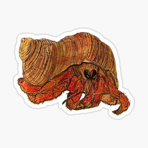 Item preview, Hand Drawn Hermit Crab designed and sold by Lena Draws.