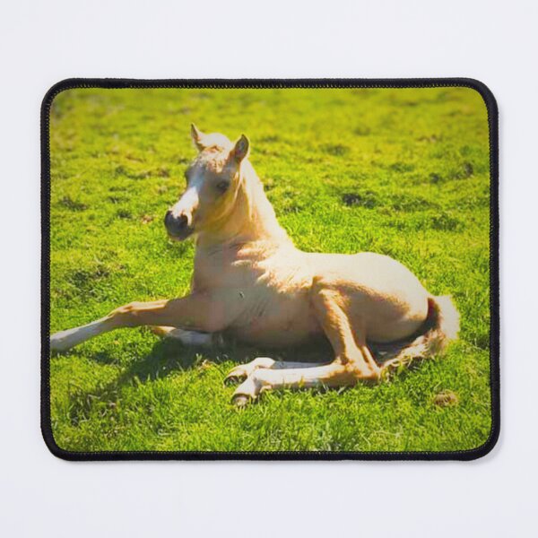 Item preview, Beautiful Belle Palomino Foal Print designed and sold by Ishtar Park Equine Shop.