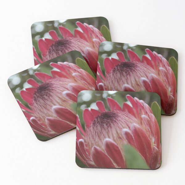 Item preview, Protea designed and sold by FranklandRiver.