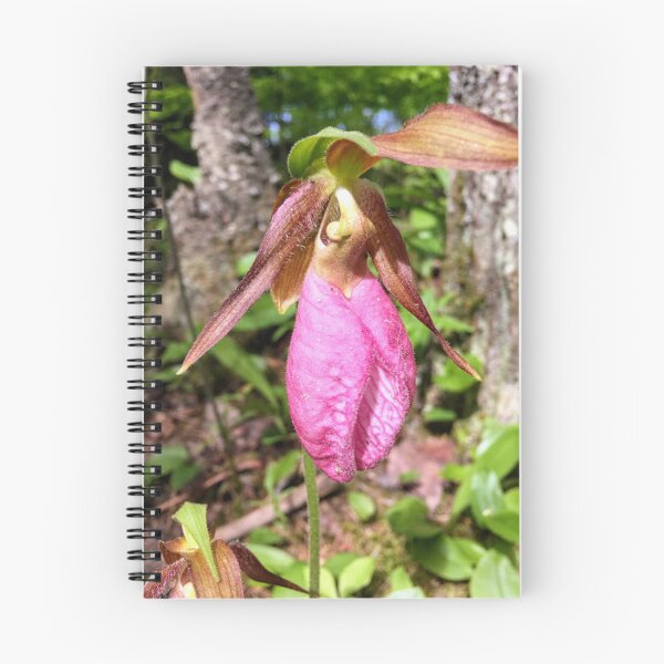 Item preview, Pink Ladyslipper designed and sold by brusling.