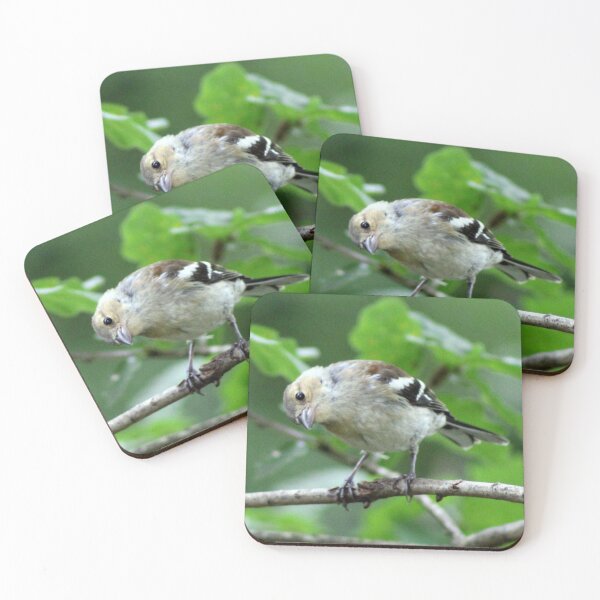 Item preview, acecho designed and sold by KathleenDawson.