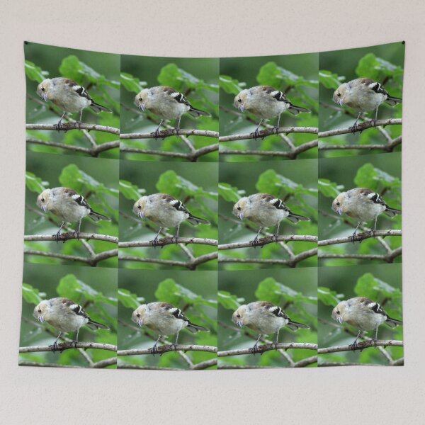 Item preview, acecho designed and sold by KathleenDawson.