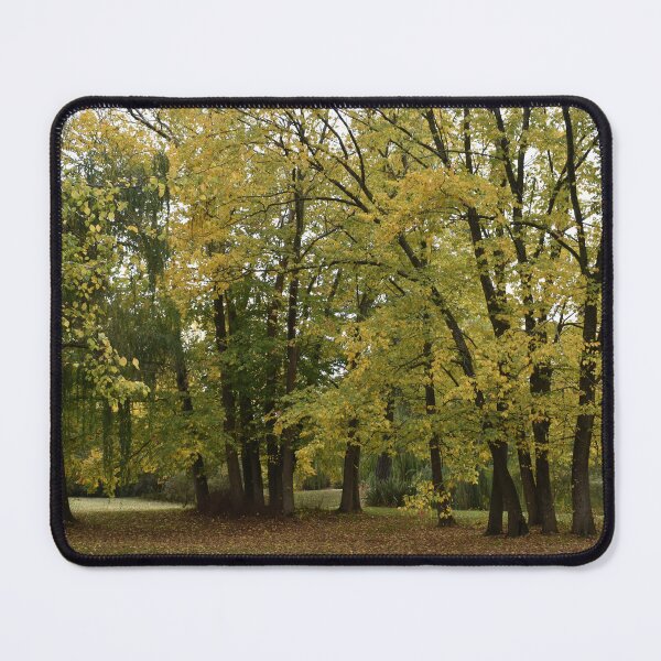Item preview, Malmsbury Botanic Gardens No. 1 designed and sold by Yolanda Caporn Art.