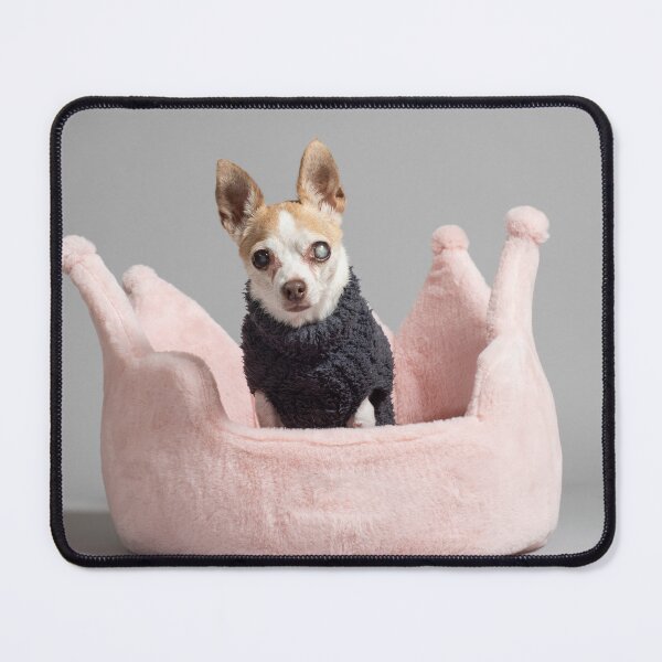 Item preview, Chihuahua in crown bed designed and sold by Kristin Yata.