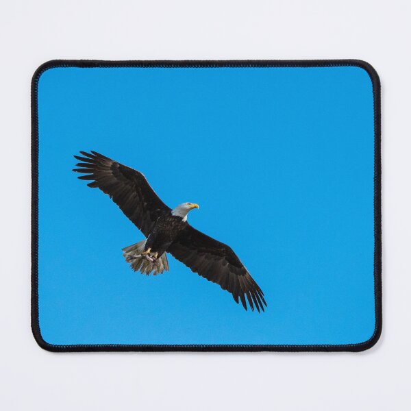 Item preview, Eagle with dinner designed and sold by Kristin Yata.