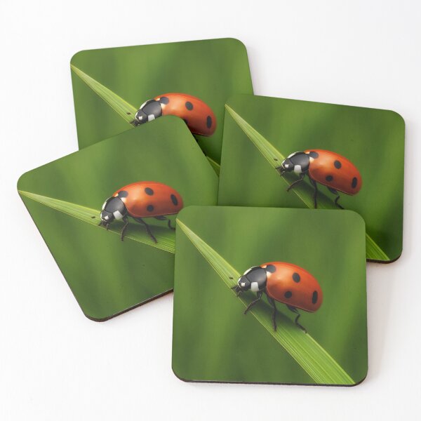 Item preview, Lady beetle, lady bird, bug  designed and sold by Wolfsummit.