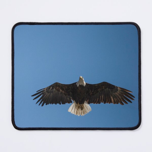 Item preview, Wingspan designed and sold by Kristin Yata.