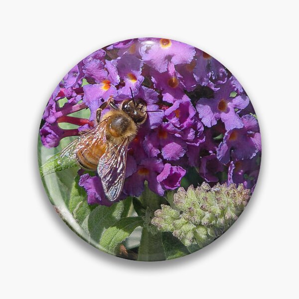 Item preview, Buzzing designed and sold by Betsy Phillips.
