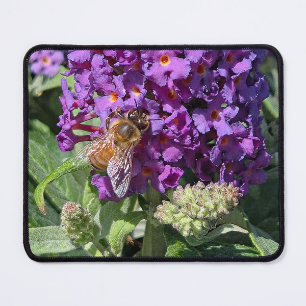 Item preview, Buzzing designed and sold by Betsy Phillips.