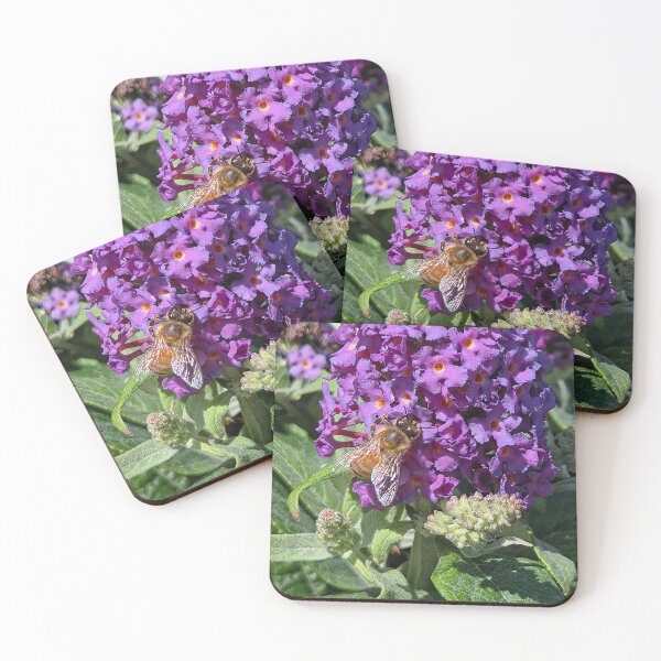 Item preview, Buzzing designed and sold by Betsy Phillips.