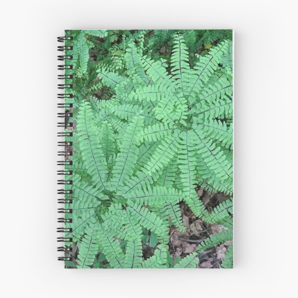 Item preview, Maidenhair Fern Whorls designed and sold by brusling.
