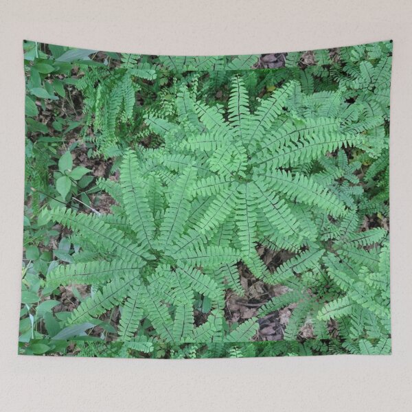 Item preview, Maidenhair Fern Whorls designed and sold by brusling.