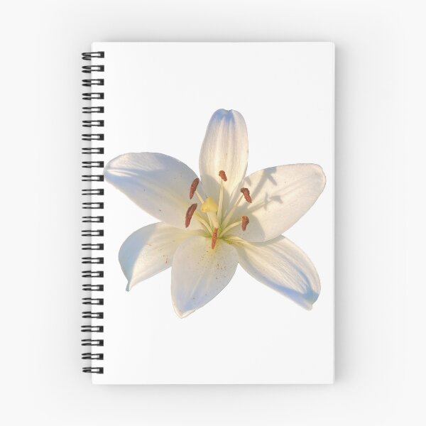 Item preview, White lily flower garden photography designed and sold by Halcja.