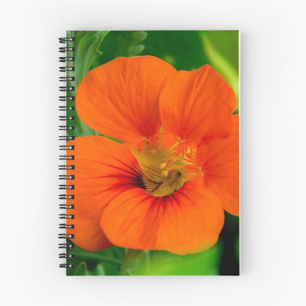 Item preview, flor de majus naranja designed and sold by TessAndre.