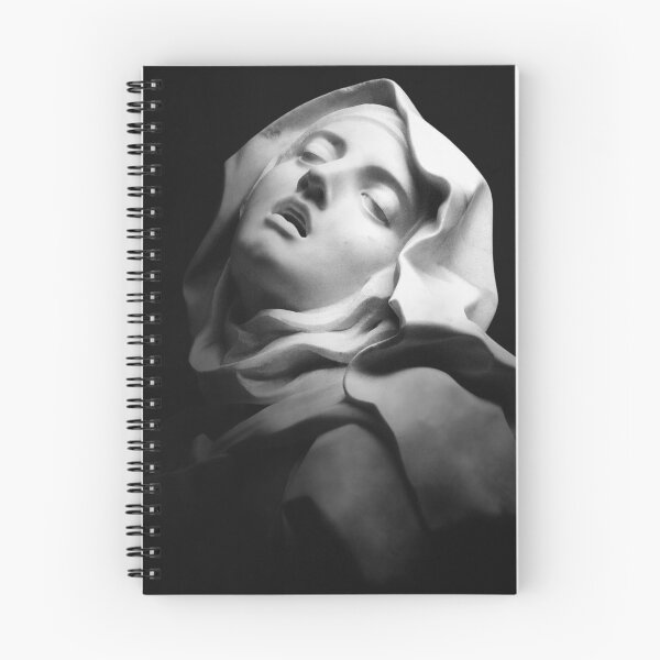 Item preview, ecstasy of st teresa designed and sold by the terrible beauty.