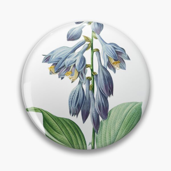 Item preview, Vintage hosta illustration designed and sold by Dana Ringler.