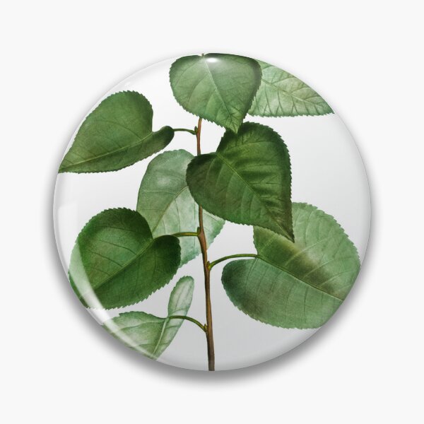 Item preview, Vintage leaves illustration designed and sold by Dana Ringler.