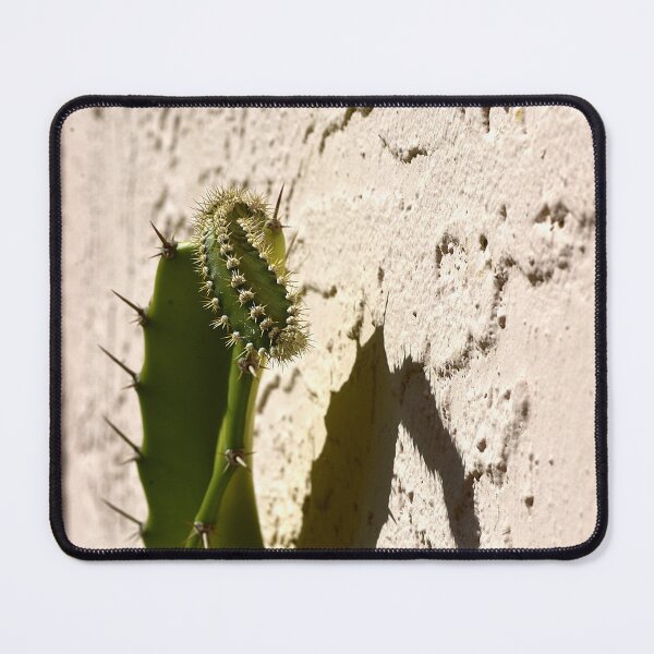 Item preview, Cactus designed and sold by MercerImages.