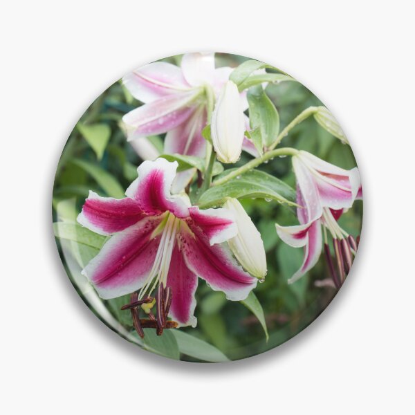 Item preview, Wet Stargazer Lilies Garden designed and sold by Georgia Mizuleva.