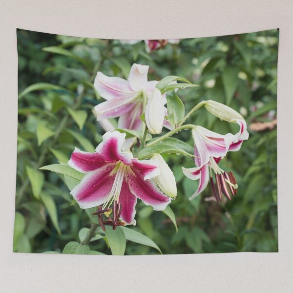 Item preview, Wet Stargazer Lilies Garden designed and sold by Georgia Mizuleva.