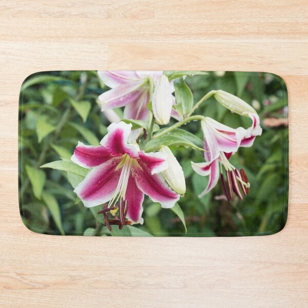Item preview, Wet Stargazer Lilies Garden designed and sold by Georgia Mizuleva.