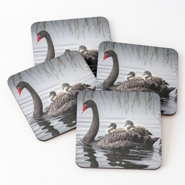 Item preview, Black swan with babies designed and sold by Photopat.