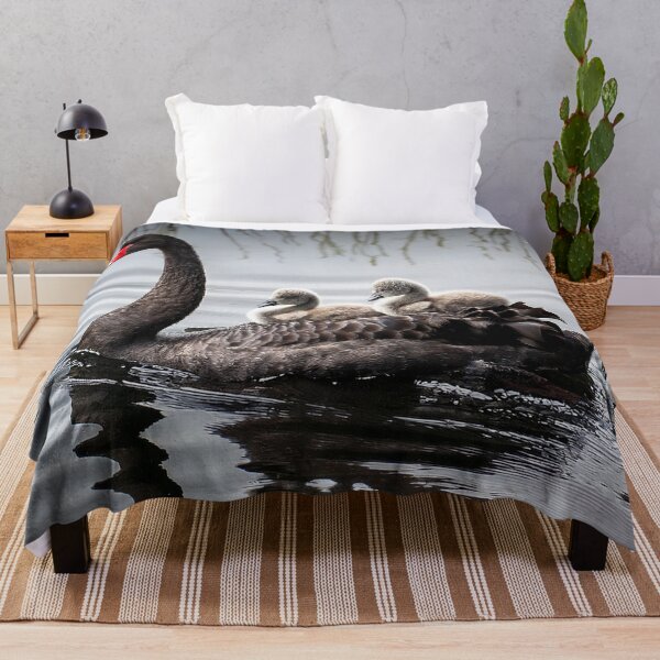 Item preview, Black swan with babies designed and sold by Photopat.