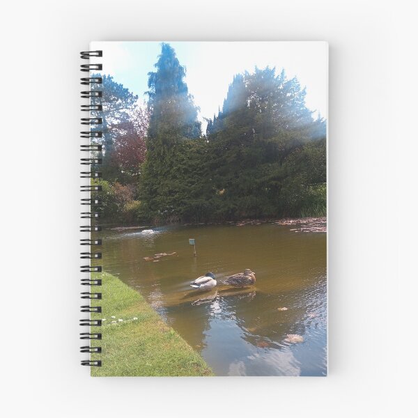 Item preview, #384 |☼| Mallard Couple (Burnby Hall Gardens) designed and sold by Naean H.F. (Nez Man).