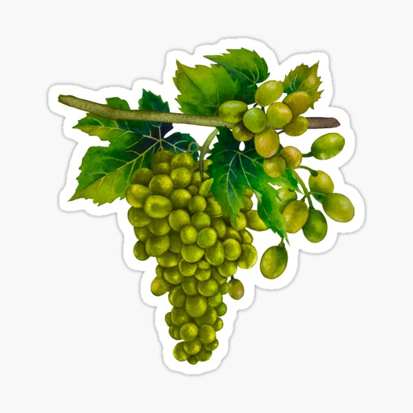 Item preview, Green Grapes designed and sold by Angry Swan Designs.