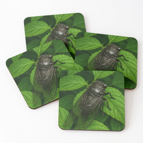 Item preview, Cicada, bug, insect  designed and sold by Wolfsummit.
