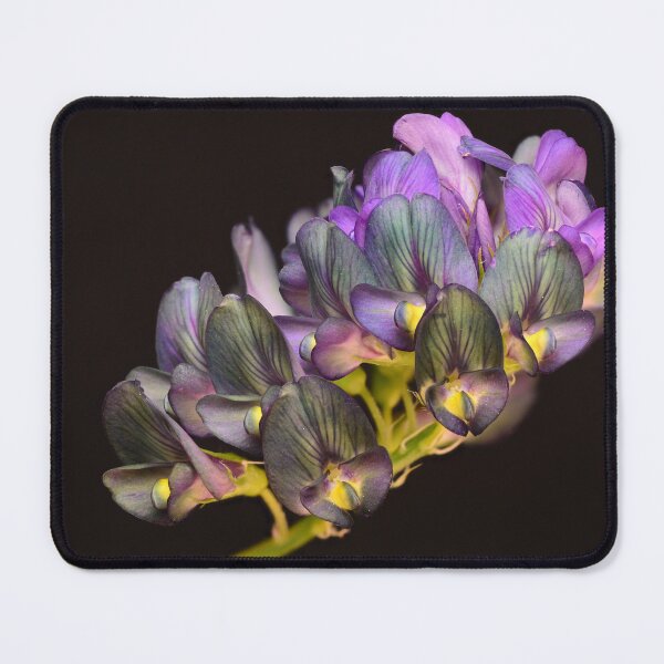 Item preview, Alfalfa Flower Cluster – Purple Elegance in Macro designed and sold by Goiko7Margarita.