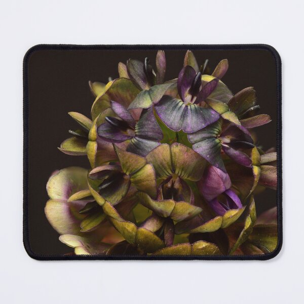 Item preview, Alfalfa Flower Macro – Green-Violet Geometry designed and sold by Goiko7Margarita.