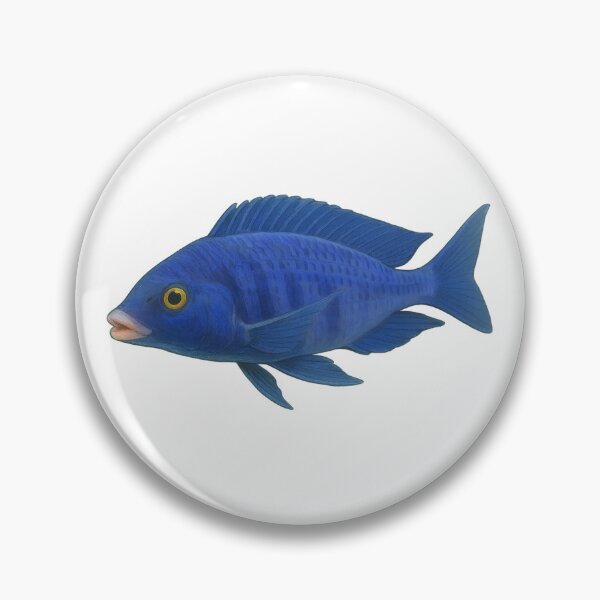Artikelvorschau, Mdoka-Weißlippen (Placidochromis phenochilus) entworfen und verkauft von My-Thing.