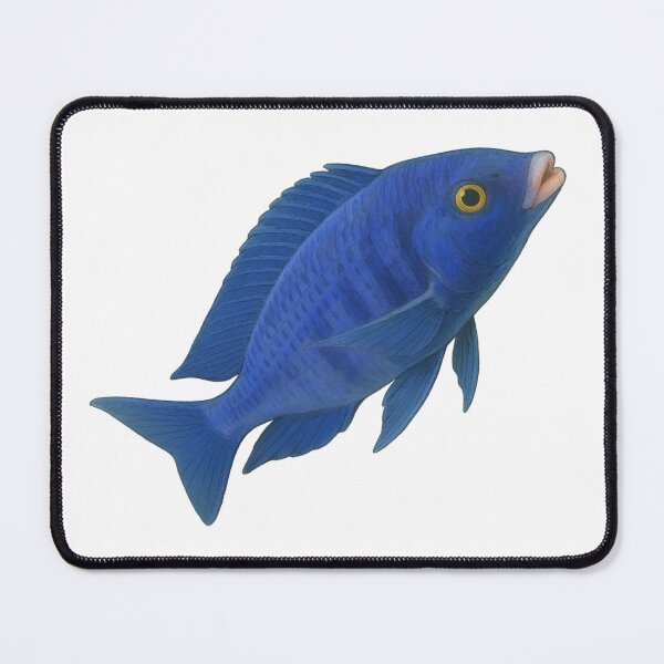 Item preview, Mdoka White Lips (Placidochromis phenochilus) designed and sold by My-Thing.