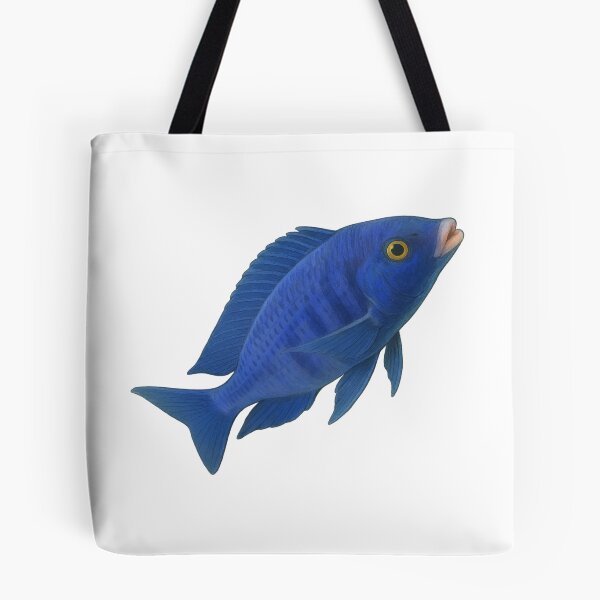 Artikelvorschau, Mdoka-Weißlippen (Placidochromis phenochilus) entworfen und verkauft von My-Thing.