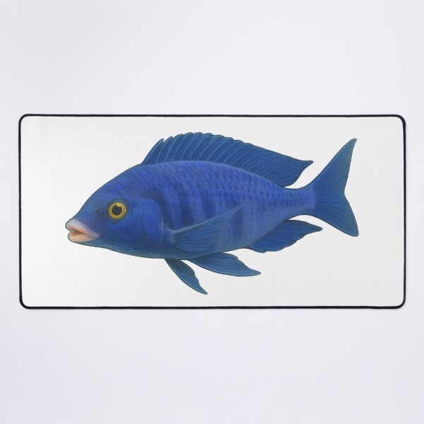 Item preview, Mdoka White Lips (Placidochromis phenochilus) designed and sold by My-Thing.