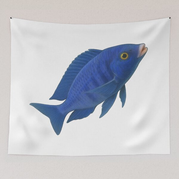 Item preview, Mdoka White Lips (Placidochromis phenochilus) designed and sold by My-Thing.