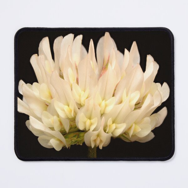 Item preview, White Clover Bloom – Minimalist Botanical Elegance designed and sold by Goiko7Margarita.