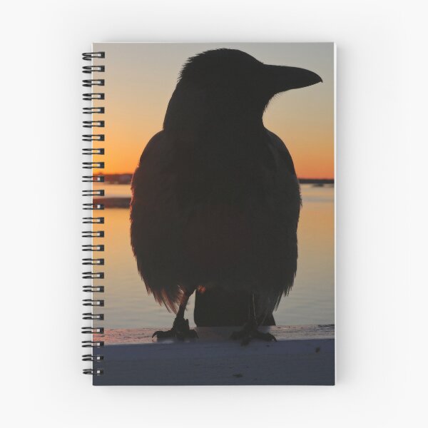 Item preview, Sunrise with Hooded Crow  designed and sold by Taina Sohlman.