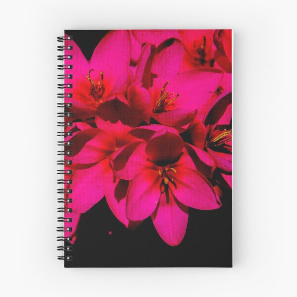 Item preview, Flores rosadas designed and sold by TessAndre.