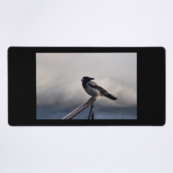 Item preview, Hooded Crow Before The Storm designed and sold by Taina Sohlman.