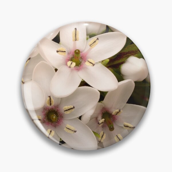 Item preview, Gooseneck Loosestrife – Delicate Symmetry in Bloom designed and sold by Goiko7Margarita.