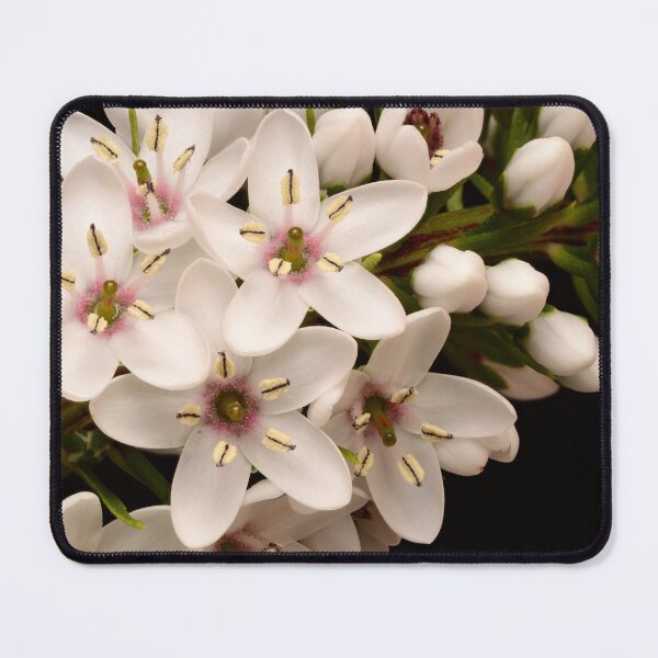 Item preview, Gooseneck Loosestrife – Delicate Symmetry in Bloom designed and sold by Goiko7Margarita.